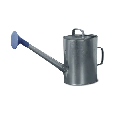 Купить Лейка оцинк. 10 л (1/4)