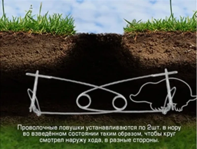 Купить Ловушка для кротов и землероек проволочная (набор 2 шт.) (1/100) "HELP" 80284