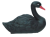 Купить Фигурка садовая пластм. Лебедь Черный 36,5х19х27,5см